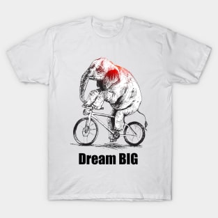 Dream BIG T-Shirt